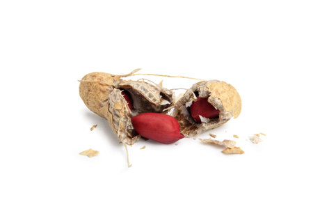 Opened peanut 