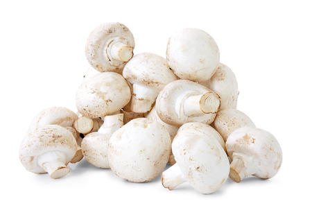 Mushrooms on  white backgroundの写真素材