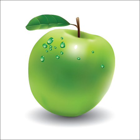  Apple. のイラスト素材