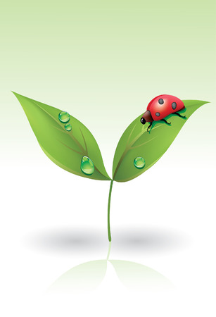  ladybugのイラスト素材