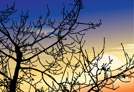  Sunset.のイラスト素材