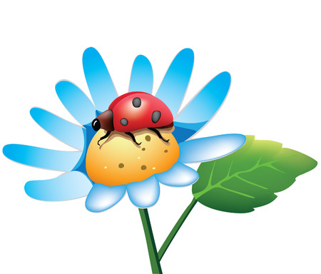  ladybugのイラスト素材