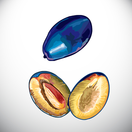 Fruit, avocadoのイラスト素材