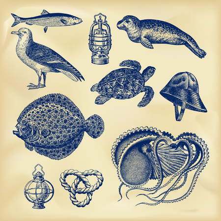 Vintage nautical collectionのイラスト素材