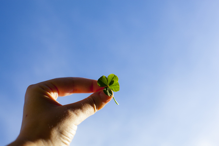 A hand holding four leaf clover towards the skyの写真素材