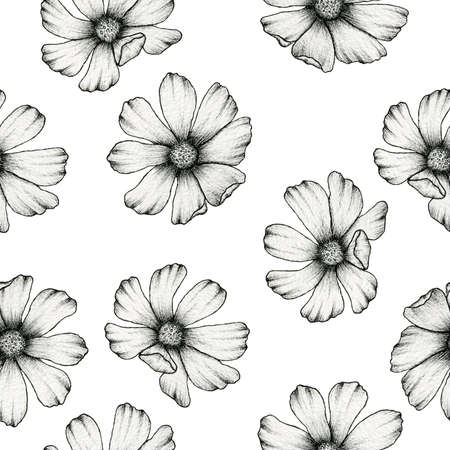 cosmos flower ink drawing seamless pattern, botanical line art hand drawn illustration for backgrounds, wrapping or fabric, realistic cosmos flower designの写真素材