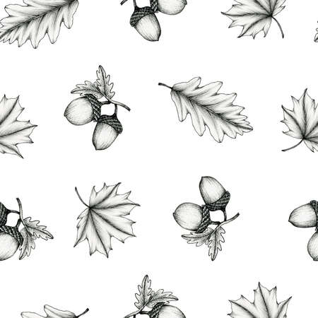 pattern with ink drawing of autumn elements, black and white acorns, maple and oak leaves, line art fall decoration, autumn black sketch, vintage autumn backgroundの写真素材