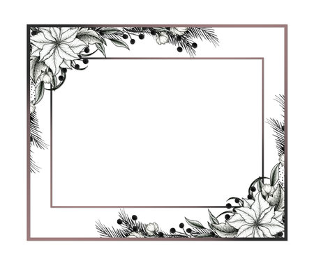 Christmas vintage card template, winter floral frame with poinsettia flowers and fir tree branches for Christmas cards, greetings or invitations, black floral artの写真素材