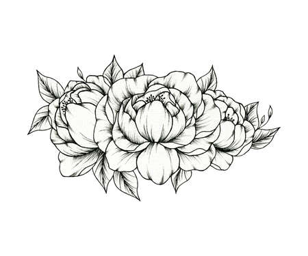 Hand drawn peony flower bouquet isolated on white, spring line art floral illustration with peonies blossom, elegant black floral sketchの写真素材