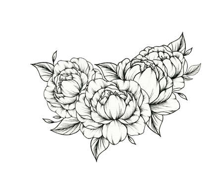 Hand drawn peony bouquet isolated on white, floral botanical foliage with peony blossom and leaves, black line art illustration of spring floral compositionの写真素材