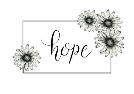 Hope - handwritten calligraphy with square line frame and hand drawn daisy flowers, hope lettering text, floral flat illustration design, hope card templateの写真素材