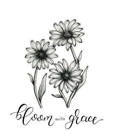 Vintage daisies fine line drawing and bloom with grace handwritten modern calligraphy, black and white floral sketch designの写真素材