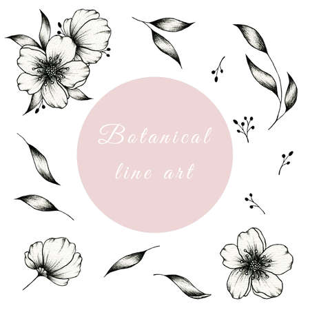 Hand drawn ink botanical line art collection isolated on white, cute and simple floral elements great for designs, black ink sketch botanical set with springtime and summer flowers, leaves and branchの写真素材
