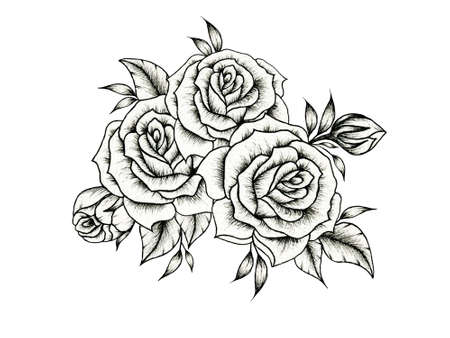 Beautiful black and white rose bouquet, rose floral arrangement isolated on white for weddings, greetings, Valentines or mother's day, vintage black rose sketchの写真素材