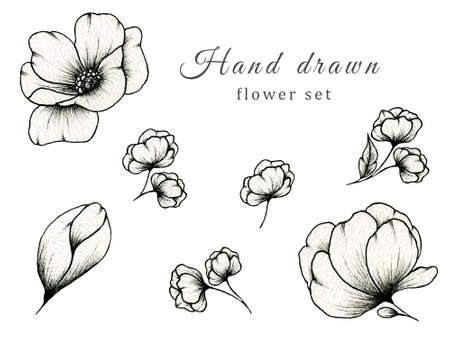 Hand drawn vintage set of flowers isolated on white, botanic illustration of monochrome floral collection, beautiful black floral sketch element great for floral designs and blossom decorationsの写真素材