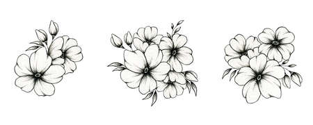 Hand drawn vintage floral compositions isolated on white, botanic floral art illustration with black and white flower bouquet set, black floral sketchの写真素材