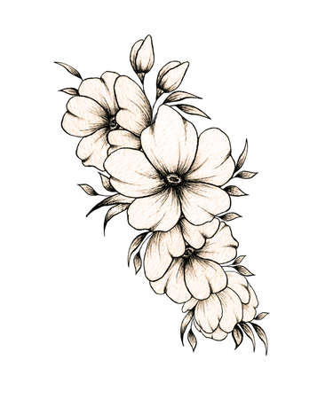Elegant hand drawn floral composition with various big and small flowers and leaves isolated on white background, warm ink drawing monochrome elegant flower composition in vintage styleの写真素材