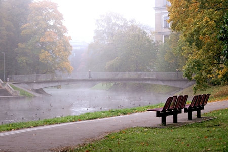 Autumn misty morning