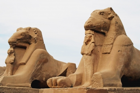 Ram sphinx in Karnak temple, Luxor, Egyptの写真素材