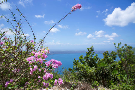 Wonderful volcanic crater lake Apoyo located between the regions of Masaya and Granada in the Pacific basin, Nicaragua. At the same time it is Nicaragua s largest Crater Lakeの写真素材