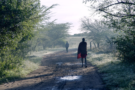 AFRICA, KENYA, MAY, 05, 2016 - At sunrise Maasai Mara tribe men go to pasture the herds in the field in Maasai Mara National Park, Kenyaのeditorial素材