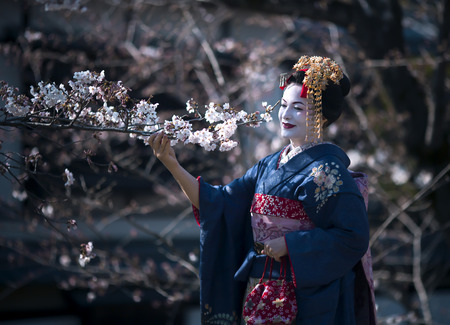 JAPAN, KYOTO, APRIL, 05, 2017 - Nice lady in the image of Maiko the apprentice Geisha, wearing beautiful kimono, gaining the background of cherry blossoms. Gion, Kyotoのeditorial素材