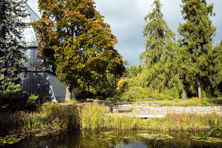 Beautiful autumn park with a pond with lilies in the Botanical Garden of the University of Latvia, Riga, Latvia.The garden was founded in 1922.のeditorial素材