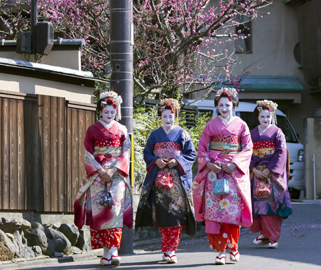 JAPAN, KYOTO, APRIL, 05, 2017 - Four nice woman in Maiko kimono dress in the old-fashioned town of Kyoto Japan.のeditorial素材
