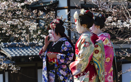 JAPAN, KYOTO, APRIL, 05, 2017 - Three nice woman in Maiko kimono dress in the old-fashioned town of Kyoto Japan.のeditorial素材