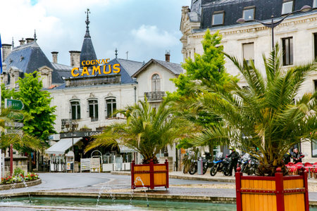 FRANCE, COGNAC, MAY, 18, 2019 - Cognacs produced such as Hennessy, Remi Marten, Baron Otard, Camus...