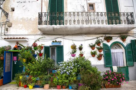 picturesque street with old small houses decorated with colorful flowered pot in Bari Old Town, on the Adriatic coast, Italyの写真素材