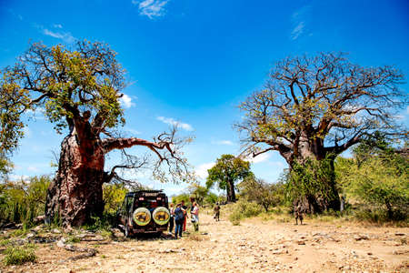 AFRICA, TANZANIA, ARUSHA, MAY, 26, 2016 - A travelers group on jeep arrived in Hadza tribe, near Arusha, Tanzaniaのeditorial素材