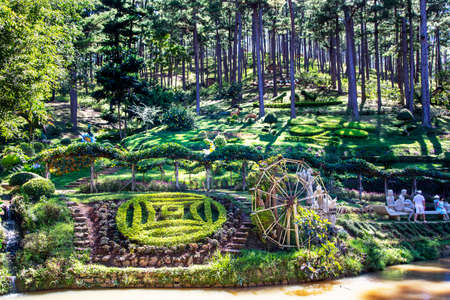 VIETNAM, DA LAT, NOVEMBER, 2016 - Park in pine tree forest in Prenn national park in Da Lat, Vietnamのeditorial素材