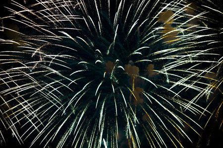 Beautiful salute and fireworks in the night sky.