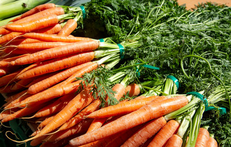 Bunches fresh orange carrots with a green stems only from the garden on the market. Healthy food concept.の写真素材