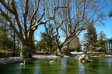 FRANCE, AVIGNON, MARCH, 2021 - Beautiful park with old plane trees and a lake with swans near the Palais des Papes in Avignon city, France. Great place for relax for tourists and pilgrims.のeditorial素材