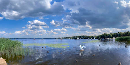 LATVIA, RIGA, JULY, 2021 - Sailing regatta on the big and beautiful Kisezers lake in Mezaparks, Riga. Latviaのeditorial素材