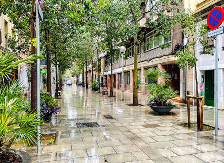 SPAIN, BARCELONA, MARCH, 2021: Quality gardening of the narrow streets of Barcelona, Spain. Green streets of Barcelona after rain.のeditorial素材