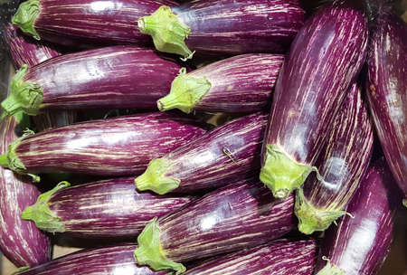 Purple striped eggplants in a wicker basket on a store shelf. Fresh vegetables at the grocery store.の写真素材