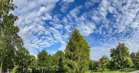 Sky panorama with interesting cirrus clouds over a park area in Riga, Latvia. Clean environment concept.の写真素材