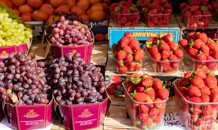 LATVIA, RIGA, SEPTEMBER, 2022 - Autumn juicy large bunch dark grapes and strawberries at the farmers market in Riga, Latviaのeditorial素材