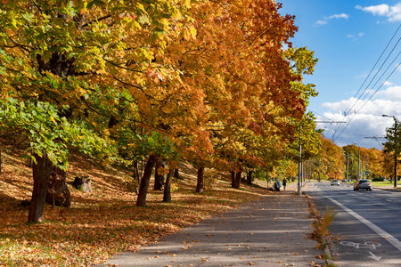 LATVIA, RIGA, OCTOBER, 2022: Beautiful autumn park with fall color foliage near to urban infrastructure in Riga, Latviaのeditorial素材