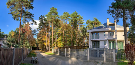 Beautiful autumn park with tall pines and fall color foliage near the yellow cottage in Mezaparks, Riga, Latvia. Autumn landscape, autumn postcard. Natural beauty in nature.の写真素材