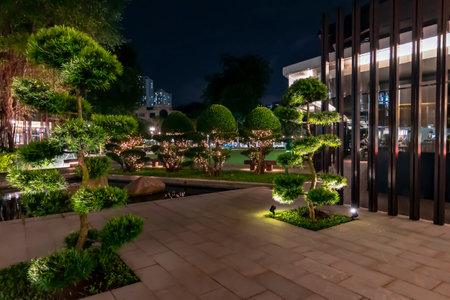 Beautiful night view of the garden with lighted trees and bushes.の写真素材