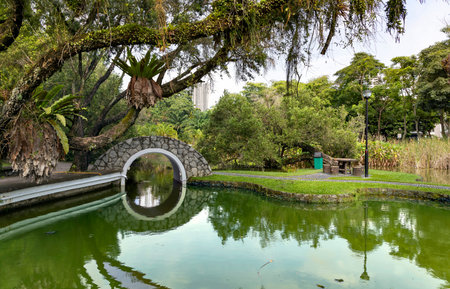 Beautiful tropical city garden with paved paths and bridge over the pond in Singapore. Concept of...
