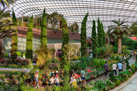 Southeast Asia, Singapore, November, 2022: Flower Dome with glass roof of Gardens by the Bay with a variety of flowers and trees of the Mediterranean in Singaporeのeditorial素材