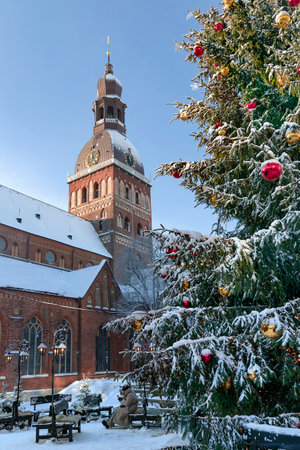 LATVIA, RIGA, DECEMBER, 2022: Christmas snowy pine tree with various olorful glass balls on background of the Dome Cathedral on Dome Square in Riga, Latviaのeditorial素材