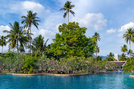 Luxury swimming pool with palm trees in Koh Samui, Thailandの写真素材