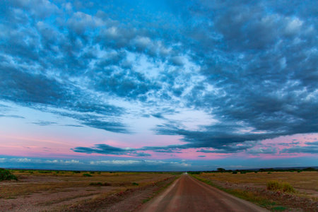 Dirt road in the field at sunset. Dramatic sky.の写真素材