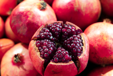 Large ripe pomegranate fruit with large ripe grains close up. Pomegranate fruits are eaten raw, used to make pomegranate juice.の写真素材